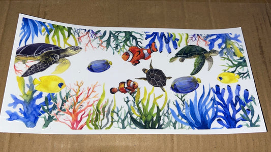 aquarium themed decal 🪸